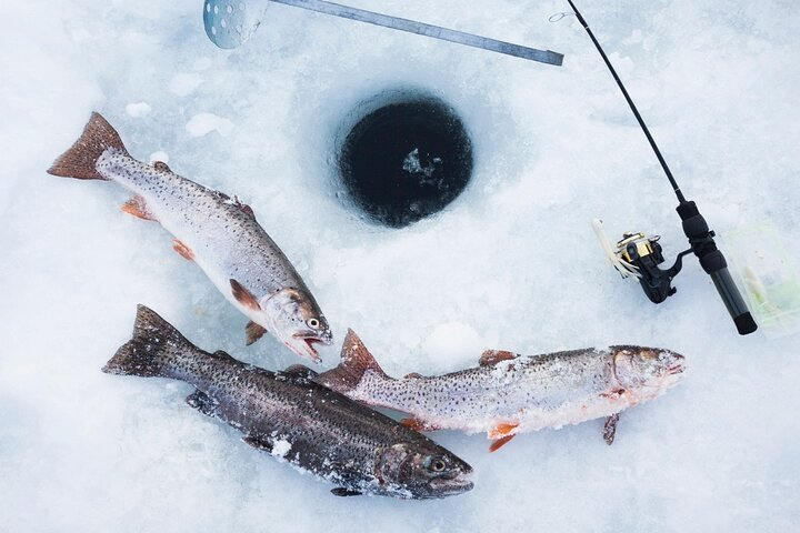 Ice Fishing Tour from Fairbanks - Photo 1 of 3